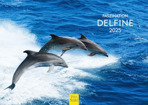 Edition Seidel Premium Kalender Faszination Delfine 2025 Format DIN A4 Wandkalender Delfinkalender Delfin Säugetiere Meer Ozean Unterwasserwelt Edition Seidel Premium Kalender Faszination Delfine 2025 Format DIN A4 Wandkalender Delfinkalender Delfin Säugetiere Meer Ozean Unterwasserwelt von Edition Seidel