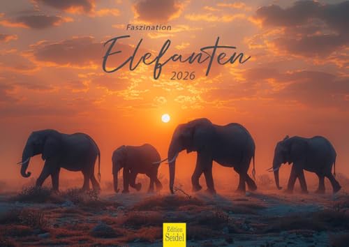 Edition Seidel Premium Kalender Faszination Elefanten 2026 Format DIN A4 Wandkalender Tierkalender Natur Steppe Wasser Elefant Kuh Bulle Kalb Herde Wildtiere Edition Seidel Premium Kalender Faszination Elefanten 2026 Format DIN A4 Wandkalender Tierkalender Natur Steppe Wasser Elefant Kuh Bulle Kalb Herde Wildtiere von Edition Seidel