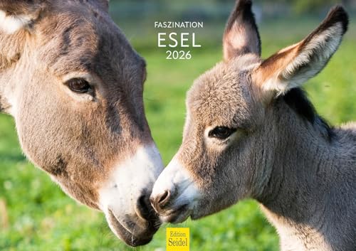 Edition Seidel Premium Kalender Faszination Esel 2026 Format DIN A3 Wandkalender Eselkalender Hausesel Stute Hengst Fohlen Säugetier Natur Landschaft Edition Seidel Premium Kalender Faszination Esel 2026 Format DIN A3 Wandkalender Eselkalender Hausesel Stute Hengst Fohlen Säugetier Natur Landschaft von Edition Seidel