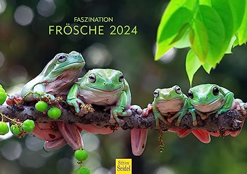 Edition Seidel Premium Kalender Faszination Frösche 2024 Format DIN A3 Wandkalender Fröschekalender Frosch Kröte Amphibien Tiere von Edition Seidel