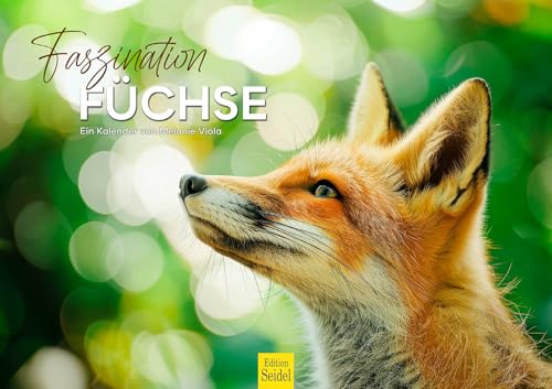 Edition Seidel Premium Kalender Faszination Füchse 2026 Format DIN A3 Wandkalender Tiere Wildtier Natur Wald Jungtier Melanie Viola Edition Seidel Premium Kalender Faszination Füchse 2026 Format DIN A3 Wandkalender Tiere Wildtier Natur Wald Jungtier Melanie Viola von Edition Seidel