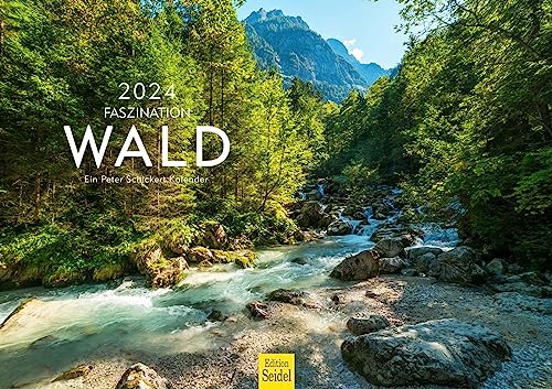 Edition Seidel Premium Kalender Faszination Wald 2024 Format DIN A3 Wandkalender Natur Bäume Baum Wälder Mischwald Tannen Peter Schickert von Edition Seidel