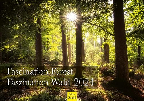 Edition Seidel Premium Kalender Faszination Wald 2024 Format DIN A3 Wandkalender Natur Bäume Wälder Wasserfall Lichtungen Waldsee Berge Täler von Edition Seidel