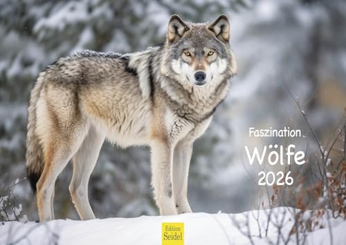 Edition Seidel Premium Kalender Faszination Wölfe 2026 Format DIN A3 Wandkalender Tierkalender Tiere Wildtiere Rudel Wolf Wald Natur Edition Seidel Premium Kalender Faszination Wölfe 2026 Format DIN A3 Wandkalender Tierkalender Tiere Wildtiere Rudel Wolf Wald Natur von Edition Seidel