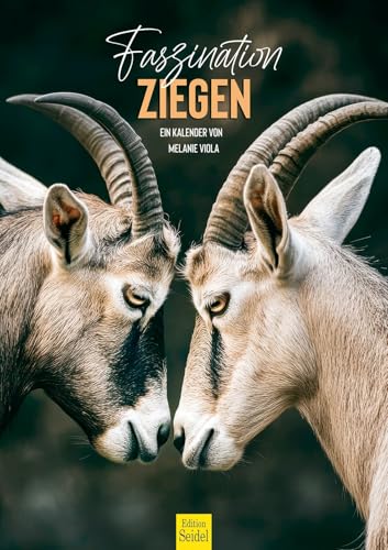 Edition Seidel Premium Kalender Faszination Ziegen 2026 Format DIN A3 Wandkalender Tiere Bauernhof Ziege Böcklein Kitze Haustier Natur Tierliebhaber Melanie Viola Edition Seidel Premium Kalender Faszination Ziegen 2026 Format DIN A3 Wandkalender Tiere Bauernhof Ziege Böcklein Kitze Haustier Natur Tierliebhaber Melanie Viola von Edition Seidel
