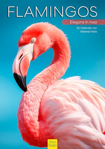 Edition Seidel Premium Kalender Flamingos Eleganz in rosa 2026 Format DIN A3 Wandkalender Tierkalender Vögel Vogel Tier Tierwelten Melanie Viola von Edition Seidel