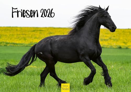 Edition Seidel Premium Kalender Friesen Pferde 2026 Format DIN A3 Wandkalender Pferdekalender Friese Pferd Tiere Fohlen Hengst Stute Edition Seidel Premium Kalender Friesen Pferde 2026 Format DIN A3 Wandkalender Pferdekalender Friese Pferd Tiere Fohlen Hengst Stute von Edition Seidel
