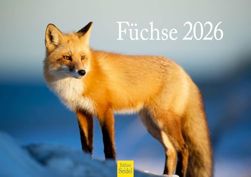 Edition Seidel Premium Kalender Füchse 2026 Format DIN A3 Wandkalender Tierkalender Fuchs Tiere Wildtiere Waldtiere Raubtiere Natur Edition Seidel Premium Kalender Füchse 2026 Format DIN A3 Wandkalender Tierkalender Fuchs Tiere Wildtiere Waldtiere Raubtiere Natur von Edition Seidel