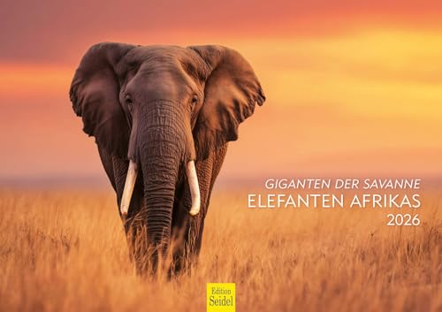 Edition Seidel Premium Kalender Giganten der Savanne Elefanten Afrikas 2026 Format DIN A3 Wandkalender Tierkalender Natur Steppe Edition Seidel Premium Kalender Giganten der Savanne Elefanten Afrikas 2026 Format DIN A3 Wandkalender Tierkalender Natur Steppe von Edition Seidel