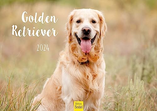 Edition Seidel Premium Kalender Golden Retriever 2024 Format DIN A3 Wandkalender Hundekalender Hund Welpe Hunderasse Haustier von Edition Seidel