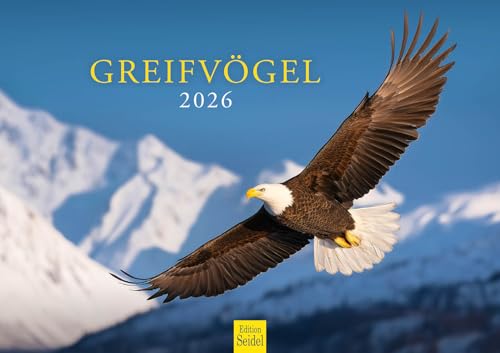 Edition Seidel Premium Kalender Greifvögel 2026 Format DIN A3 Wandkalender Adler Falke Bussard Habicht Eule Natur Wildvögel Christian Müringer Edition Seidel Premium Kalender Greifvögel 2026 Format DIN A3 Wandkalender Adler Falke Bussard Habicht Eule Natur Wildvögel Christian Müringer von Edition Seidel
