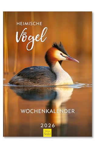 Edition Seidel Premium Kalender Heimische Vögel Wochenkalender 2026 Format DIN A4 Wandkalender mit schönen Bildern Vogelkalender Vogel Amsel Rotkehlchen Eule Ente Natur Christian Müringer Edition Seidel Premium Kalender Heimische Vögel Wochenkalender 2026 Format DIN A4 Wandkalender mit schönen Bildern Vogelkalender Vogel Amsel Rotkehlchen Eule Ente Natur Christian Müringer von Edition Seidel