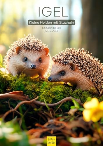 Edition Seidel Premium Kalender Igel Kleine Helden mit Stacheln 2026 Format DIN A3 Wandkalender Tiere Igel Jungtier Wald Natur Haustier Tierliebhaber Melanie Viola Edition Seidel Premium Kalender Igel Kleine Helden mit Stacheln 2026 Format DIN A3 Wandkalender Tiere Igel Jungtier Wald Natur Haustier Tierliebhaber Melanie Viola von Edition Seidel