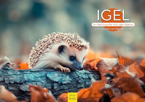 Edition Seidel Premium Kalender Igel in Harmonie mit der Natur 2026 Format DIN A3 Wandkalender Tiere Jungtier Wald Natur Melanie Viola von Edition Seidel