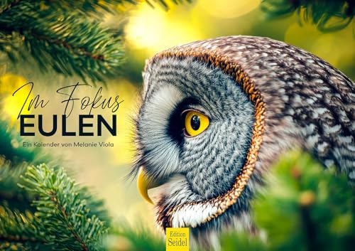 Edition Seidel Premium Kalender Im Fokus Eulen 2026 Format DIN A3 Wandkalender Tiere Uhu Kauz Schleiereule Wald Natur Melanie Viola von Edition Seidel