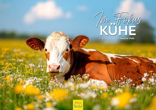Edition Seidel Premium Kalender Im Fokus Kühe 2026 Format DIN A3 Wandkalender Tiere Kuh Kalb Rind Haustier Bauernhof Natur Tierliebhaber Melanie Viola Edition Seidel Premium Kalender Im Fokus Kühe 2026 Format DIN A3 Wandkalender Tiere Kuh Kalb Rind Haustier Bauernhof Natur Tierliebhaber Melanie Viola von Edition Seidel