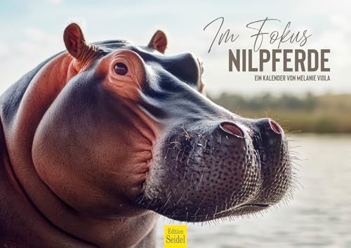 Edition Seidel Premium Kalender Im Fokus Nilpferde 2026 Format DIN A3 Wandkalender Tierkalender Afrika Großflusspferd Hippopotamus Wildtiere Melanie Viola Edition Seidel Premium Kalender Im Fokus Nilpferde 2026 Format DIN A3 Wandkalender Tierkalender Afrika Großflusspferd Hippopotamus Wildtiere Melanie Viola von Edition Seidel