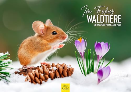 Edition Seidel Premium Kalender Im Fokus Waldtiere 2026 Format DIN A3 Wandkalender Tiere Wildtiere Natur Wald Melanie Viola Edition Seidel Premium Kalender Im Fokus Waldtiere 2026 Format DIN A3 Wandkalender Tiere Wildtiere Natur Wald Melanie Viola von Edition Seidel