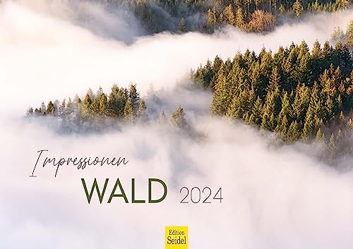 Edition Seidel Premium Kalender Impressionen Wald 2024 Format DIN A3 Wandkalender Naturkalender Natur Bäume Wälder Wasserfall Wiese Laub Waldsee Farn Moos von Edition Seidel