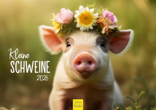 Edition Seidel Premium Kalender Kleine Schweine 2026 Format DIN A4 Wandkalender Tierkalender Tiere Schwein Ferkel Frischling Wildschwein heimische Säugetiere Edition Seidel Premium Kalender Kleine Schweine 2026 Format DIN A4 Wandkalender Tierkalender Tiere Schwein Ferkel Frischling Wildschwein heimische Säugetiere von Edition Seidel