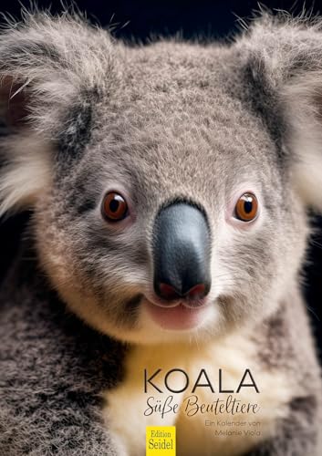 Edition Seidel Premium Kalender Koala süße Beuteltiere 2026 Format DIN A3 Wandkalender Tierkalender Australien Koalas Tiere Säugetiere Eukalyptus Wald Melanie Viola von Edition Seidel