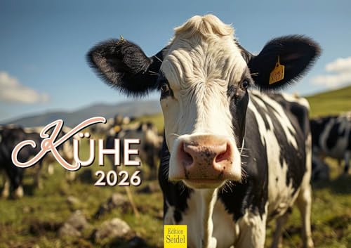 Edition Seidel Premium Kalender Kühe 2026 Format DIN A3 Wandkalender Kuhkalender Kuh Rind Kalb heimische Tiere Bauernhof Edition Seidel Premium Kalender Kühe 2026 Format DIN A3 Wandkalender Kuhkalender Kuh Rind Kalb heimische Tiere Bauernhof von Edition Seidel