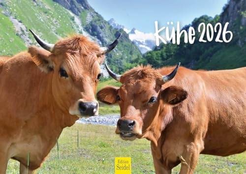 Edition Seidel Premium Kalender Kühe 2026 Format DIN A4 Wandkalender Kuhkalender Kuh Rind Kalb heimische Tiere Bauernhof Weide Edition Seidel Premium Kalender Kühe 2026 Format DIN A4 Wandkalender Kuhkalender Kuh Rind Kalb heimische Tiere Bauernhof Weide von Edition Seidel