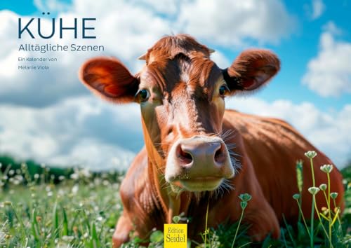 Edition Seidel Premium Kalender Kühe 2026 Format DIN A4 Wandkalender Kuhkalender Kuh Rind Kalb heimische Tiere Nartur Heide Melanie Viola Edition Seidel Premium Kalender Kühe 2026 Format DIN A4 Wandkalender Kuhkalender Kuh Rind Kalb heimische Tiere Nartur Heide Melanie Viola von Edition Seidel