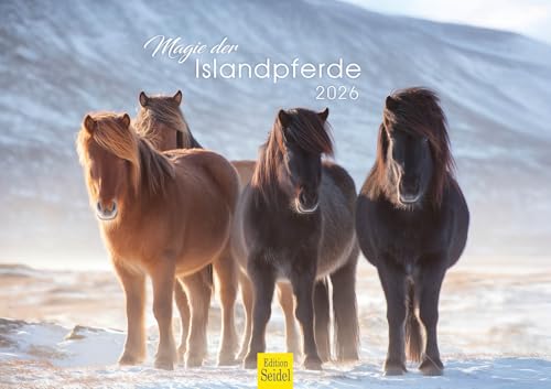 Edition Seidel Premium Kalender Magie der Islandpferde 2026 Format DIN A3 Wandkalender Pferdekalender Isländer Island Tiere Pony Stute Hengst Fohlen Edition Seidel Premium Kalender Magie der Islandpferde 2026 Format DIN A3 Wandkalender Pferdekalender Isländer Island Tiere Pony Stute Hengst Fohlen von Edition Seidel