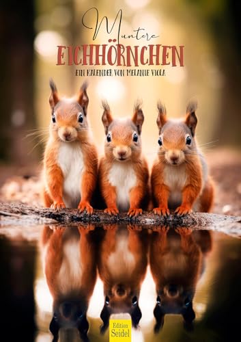 Edition Seidel Premium Kalender Muntere Eichhörnchen 2026 Format DIN A3 Wandkalender Tierkalender Tier putzige Gesellen Wildtiere Waldtiere Melanie Viola Edition Seidel Premium Kalender Muntere Eichhörnchen 2026 Format DIN A3 Wandkalender Tierkalender Tier putzige Gesellen Wildtiere Waldtiere Melanie Viola von Edition Seidel