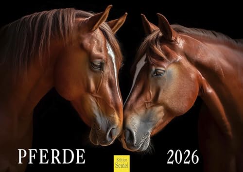 Edition Seidel Premium Kalender Pferde 2026 Format DIN A4 Wandkalender Pferdekalender Pferd Tiere Fohlen Stute Hengst Natur von Edition Seidel