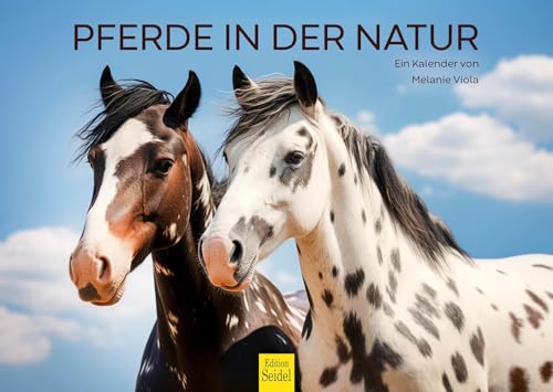 Edition Seidel Premium Kalender Pferde in der Natur 2025 Format DIN A3 Wandkalender Pferdekalender Pferd Tiere Fohlen Stute Hengst Pony Melanie Viola von Edition Seidel