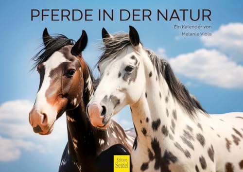 Edition Seidel Premium Kalender Pferde in der Natur 2026 Format DIN A4 Wandkalender Pferdekalender Pferd Tiere Fohlen Stute Hengst Pony Melanie Viola Edition Seidel Premium Kalender Pferde in der Natur 2026 Format DIN A4 Wandkalender Pferdekalender Pferd Tiere Fohlen Stute Hengst Pony Melanie Viola von Edition Seidel