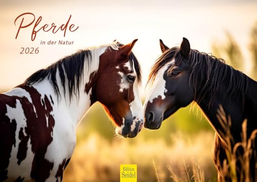 Edition Seidel Premium Kalender Pferde in der Natur 2026 Format DIN A4 Wandkalender Pferdekalender Tiere Fohlen Stute Hengst Edition Seidel Premium Kalender Pferde in der Natur 2026 Format DIN A4 Wandkalender Pferdekalender Tiere Fohlen Stute Hengst von Edition Seidel