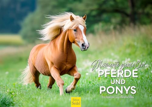 Edition Seidel Premium Kalender Pferde und Ponys 2026 Format DIN A3 Wandkalender Pferdekalender Natur Haustier Pferd Stute Hengst Fohlen Pony Melanie Viola Edition Seidel Premium Kalender Pferde und Ponys 2026 Format DIN A3 Wandkalender Pferdekalender Natur Haustier Pferd Stute Hengst Fohlen Pony Melanie Viola von Edition Seidel