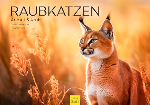 Edition Seidel Premium Kalender Raubkatzen Anmut & Kraft 2026 Format DIN A3 Wandkalender Tierkalender Afrika Wildtier Raubtier Katze Löwe Großkatze Tiger Gepard Melanie Viola Edition Seidel Premium Kalender Raubkatzen Anmut & Kraft 2026 Format DIN A3 Wandkalender Tierkalender Afrika Wildtier Raubtier Katze Löwe Großkatze Tiger Gepard Melanie Viola von Edition Seidel
