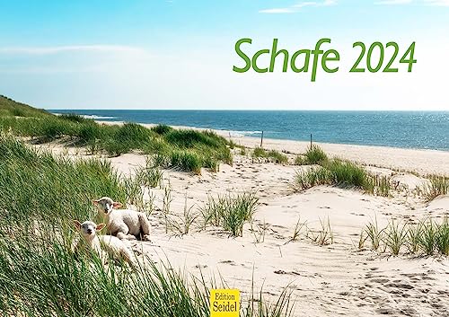 Edition Seidel Premium Kalender Schafe 2024 Format DIN A3 Wandkalender Tierkalender Weltweit Schaf Lamm Bock Dünen Berge Heide Bauernhof von Edition Seidel