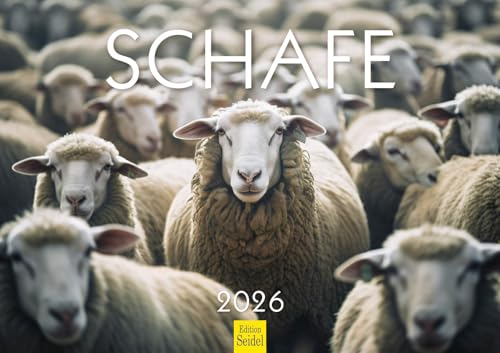 Edition Seidel Premium Kalender Schafe 2026 Format DIN A3 Wandkalender Tierkalender Schaf Lamm Bock Haustiere Edition Seidel Premium Kalender Schafe 2026 Format DIN A3 Wandkalender Tierkalender Schaf Lamm Bock Haustiere von Edition Seidel