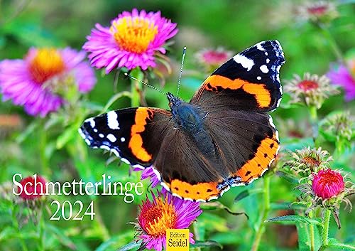 Edition Seidel Premium Kalender Schmetterlinge 2024 Format DIN A3 Wandkalender Tierkalender Weltweit Schmetterling Falter Schwärmer Insekten von Edition Seidel