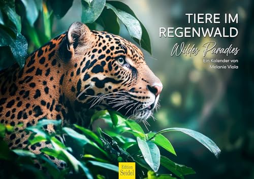 Edition Seidel Premium Kalender Tiere im Regenwald 2026 Format DIN A3 Wandkalender Jaguar Tukan Schlange Natur Wildtiere Melanie Viola von Edition Seidel
