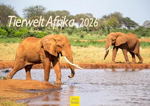 Edition Seidel Premium Kalender Tierwelt Afrika 2026 Format DIN A3 Wandkalender Tierkalender Löwen Tiger Elefanten Zebras Giraffen Erdmännchen Flamingos Savanne Edition Seidel Premium Kalender Tierwelt Afrika 2026 Format DIN A3 Wandkalender Tierkalender Löwen Tiger Elefanten Zebras Giraffen Erdmännchen Flamingos Savanne von Edition Seidel