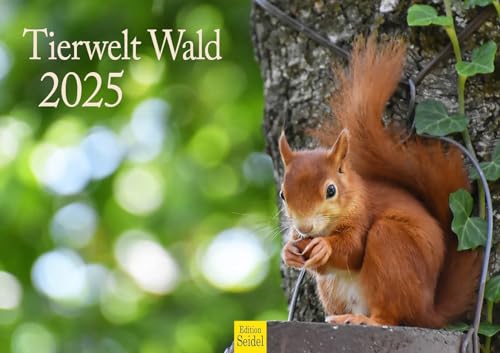 Edition Seidel Premium Kalender Tierwelt Wald 2025 Format DIN A3 Wandkalender Tierkalender Tiere Eichhörnchen Vögel Natur von Edition Seidel