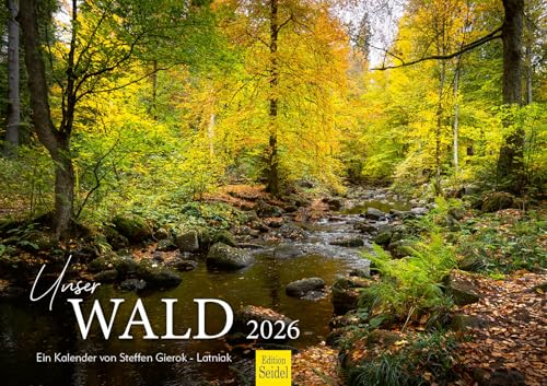 Edition Seidel Premium Kalender Unser Wald 2026 Format DIN A3 Wandkalender Natur Baum Tanne Laubbäume Steffen Gierok-Latniak von Edition Seidel