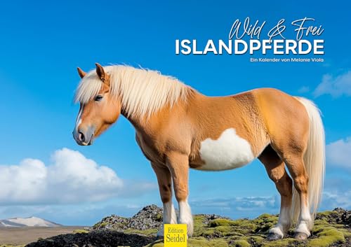 Edition Seidel Premium Kalender Wild & Frei Islandpferde 2026 Format DIN A3 Wandkalender Island Tiere Pferd Islandpferd Reiten Natur Melanie Viola Edition Seidel Premium Kalender Wild & Frei Islandpferde 2026 Format DIN A3 Wandkalender Island Tiere Pferd Islandpferd Reiten Natur Melanie Viola von Edition Seidel
