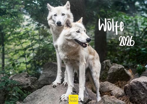 Edition Seidel Premium Kalender Wölfe 2026 Format DIN A3 Wandkalender Tierkalender Tiere Wildtiere Rudel Wolf Wald Natur Edition Seidel Premium Kalender Wölfe 2026 Format DIN A3 Wandkalender Tierkalender Tiere Wildtiere Rudel Wolf Wald Natur von Edition Seidel