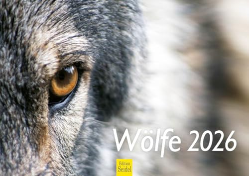 Edition Seidel Premium Kalender Wölfe 2026 Format DIN A4 Wandkalender Tiere Wildtiere Rudel Wolf Wald Natur von Edition Seidel