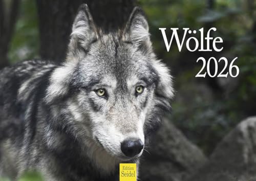 Edition Seidel Premium Kalender Wölfe 2026 Format DIN A4 Wandkalender Tierkalender Tiere Wildtiere Rudel Wolf Wald Natur Edition Seidel Premium Kalender Wölfe 2026 Format DIN A4 Wandkalender Tierkalender Tiere Wildtiere Rudel Wolf Wald Natur von Edition Seidel