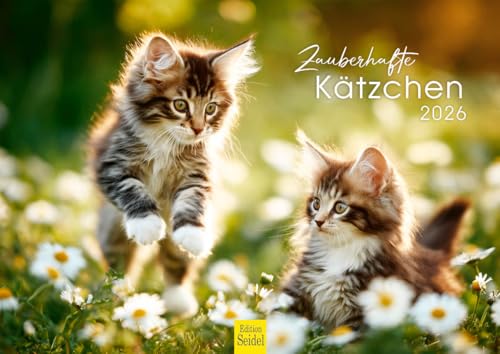 Edition Seidel Premium Kalender Zauberhafte Kätzchen 2026 Format DIN A4 Wandkalender Katzenkalender Haustiere Kätzchen Katze Kater Kitten Edition Seidel Premium Kalender Zauberhafte Kätzchen 2026 Format DIN A4 Wandkalender Katzenkalender Haustiere Kätzchen Katze Kater Kitten von Edition Seidel