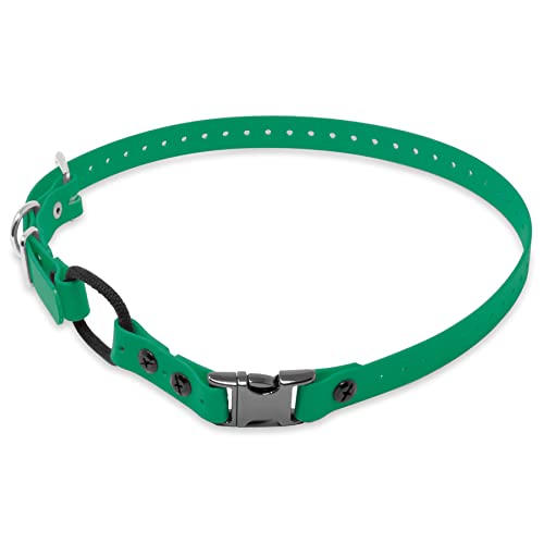 Educator Quick Snap Bungee Dog Collar, Biothane, Waterproof, Odorproof, Easy Connect and Disconnect Clasp and D Ring with Comfort Bungee Loop, Adjustable for Custom Fit, 1-Inch, Green Educator Quick Snap Bungee Dog Collar, Biothane, Waterproof, Odorproof, Easy Connect and Disconnect Clasp and D Ring with Comfort Bungee Loop, Adjustable for Custom Fit, 1-Inch, Green von Educator