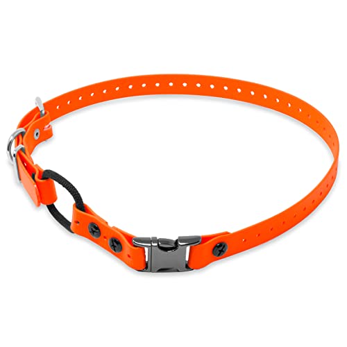Educator Quick Snap Bungee-Hundehalsband, Biothan, wasserdicht, geruchlos, einfach zu verbinden und zu trennen, Verschluss und D-Ring mit Komfort-Bungee-Schlaufe, verstellbar für individuelle Educator Quick Snap Bungee-Hundehalsband, Biothan, wasserdicht, geruchlos, einfach zu verbinden und zu trennen, Verschluss und D-Ring mit Komfort-Bungee-Schlaufe, verstellbar für individuelle von Educator
